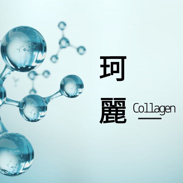 飛克珂麗.png