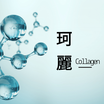 飛克珂麗.png